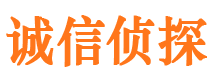 额尔古纳侦探